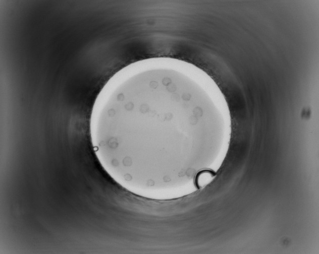 X0000103900035200810311419