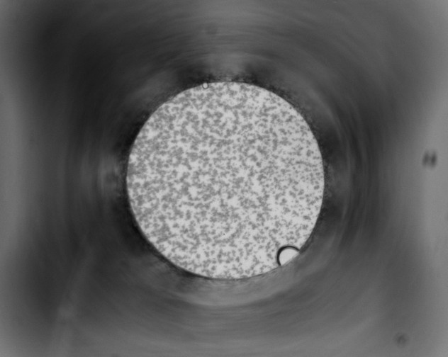 X0000103900037200810311419