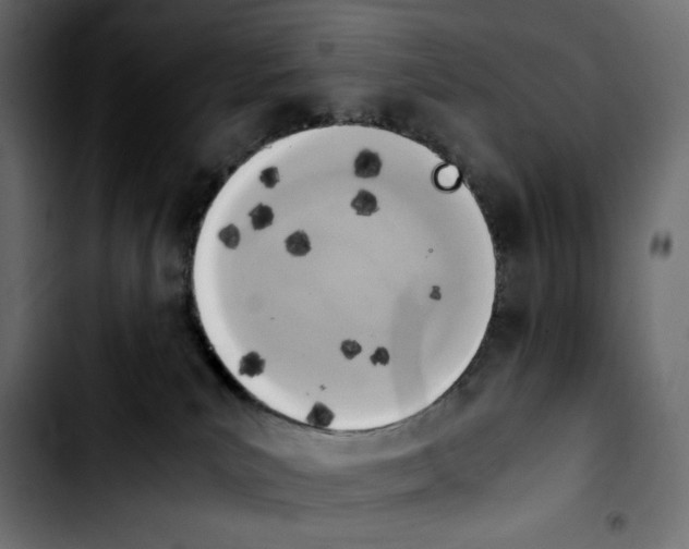 X0000103900039200810311419