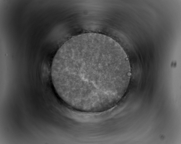 X0000103900040200810311419