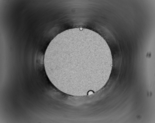 X0000103900041200810311419