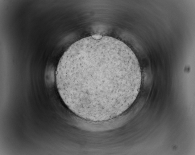 X0000103900042200810311419