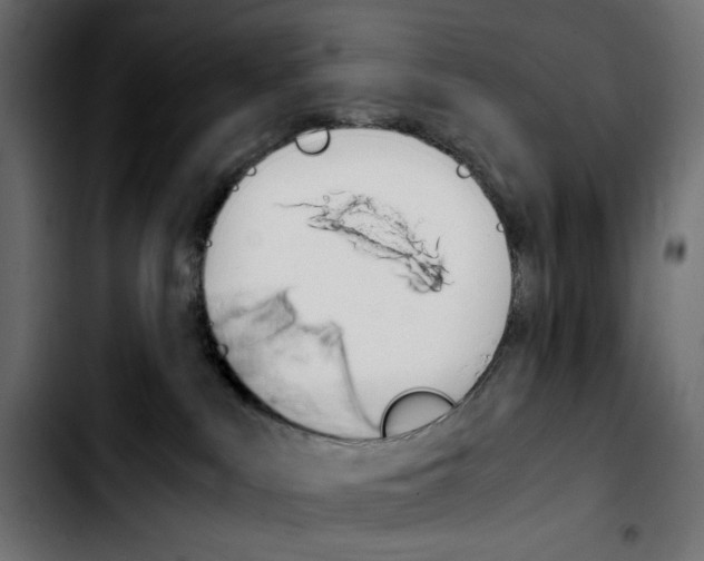 X0000103900043200810311419