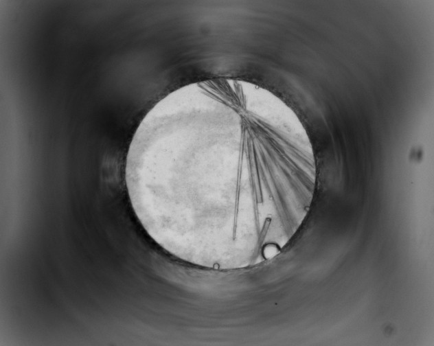 X0000103900044200810311419