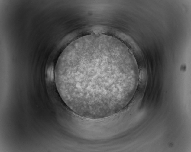 X0000103900046200810311419