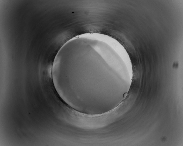 X0000103900047200810311419