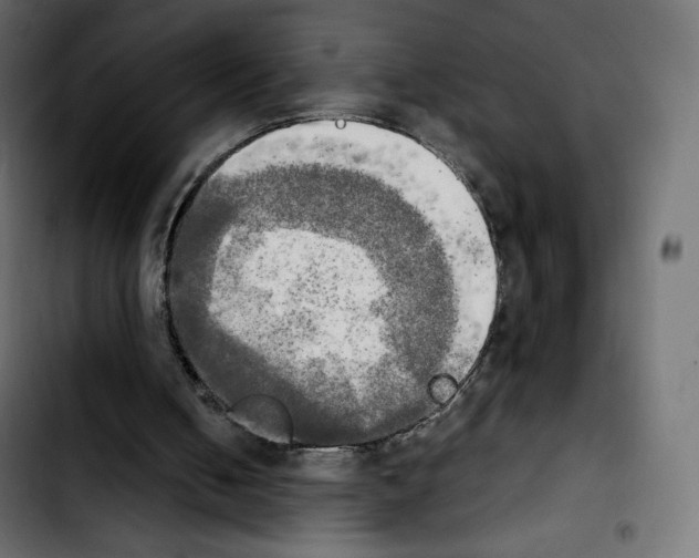 X0000103900050200810311419