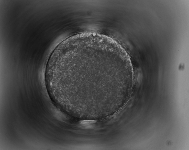 X0000103900051200810311419