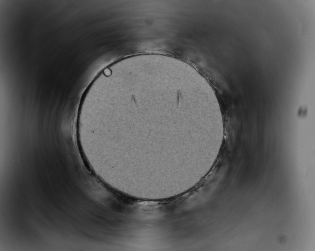 X0000103900052200810311419