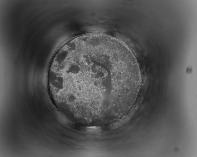 X0000103900053200810311419