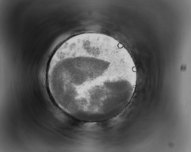 X0000103900054200810311419