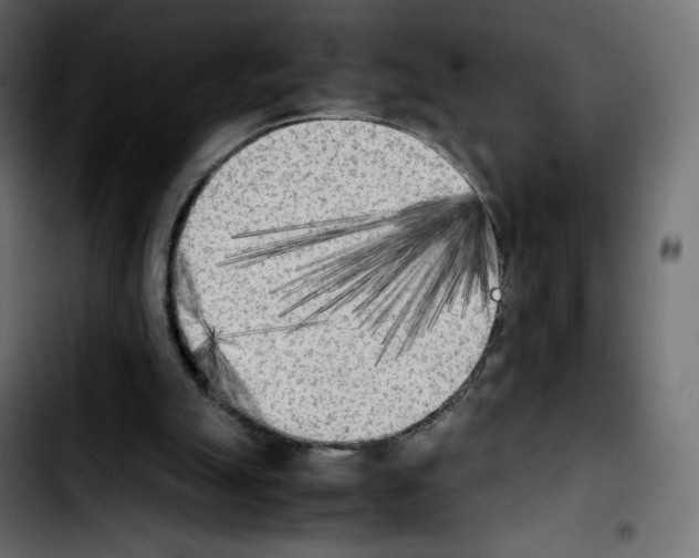 X0000103900055200810311419