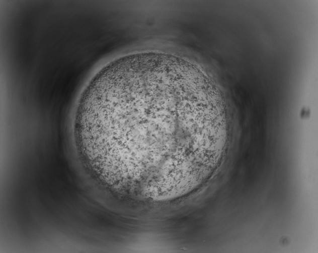 X0000103900056200810311419