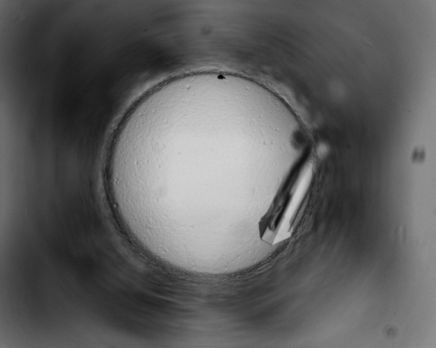 X0000103900060200810311419