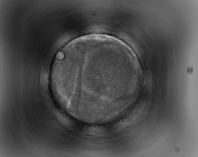 X0000103900063200810311419