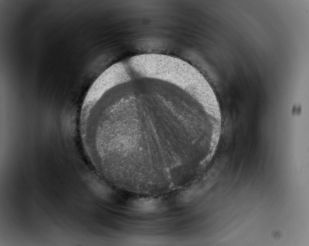 X0000103900065200810311419