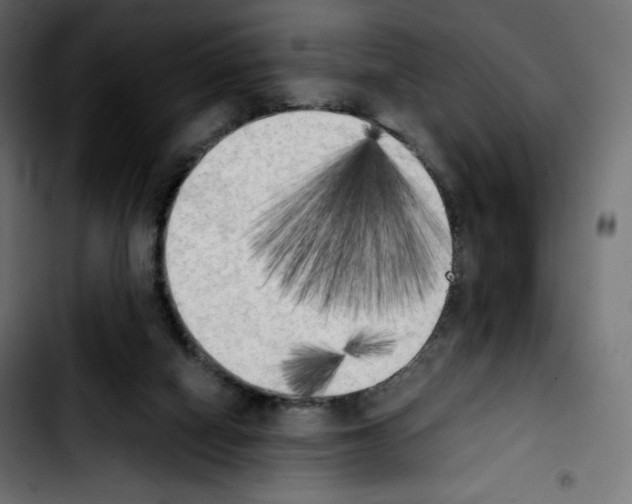 X0000103900066200810311419