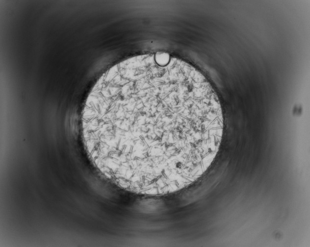 X0000103900067200810311419