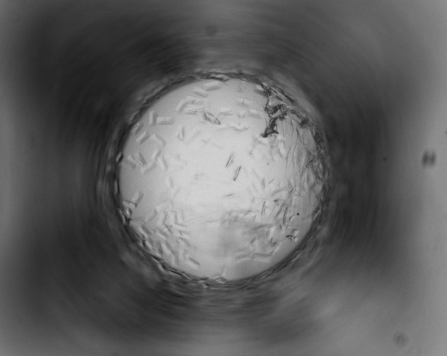 X0000103900068200810311419