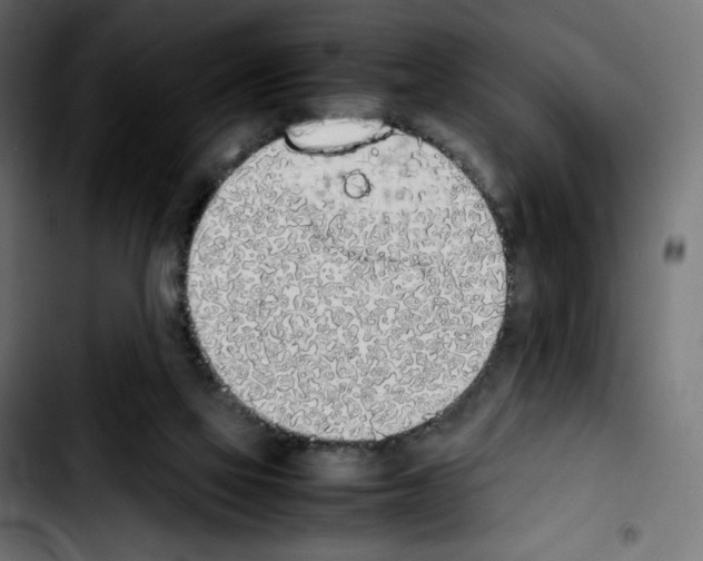 X0000103900069200810311419