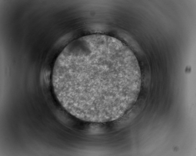 X0000103900070200810311419