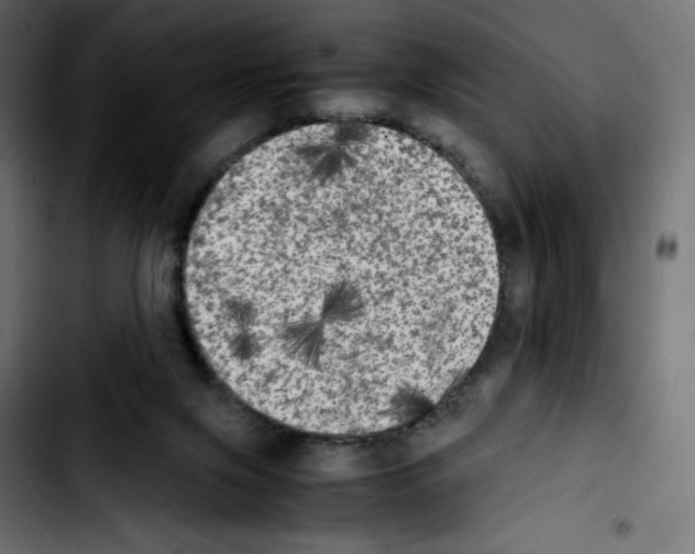 X0000103900071200810311419