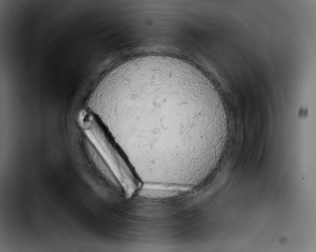 X0000103900072200810311419