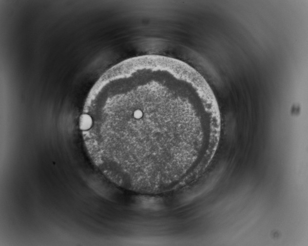 X0000103900073200810311419