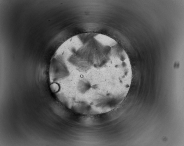 X0000103900074200810311419