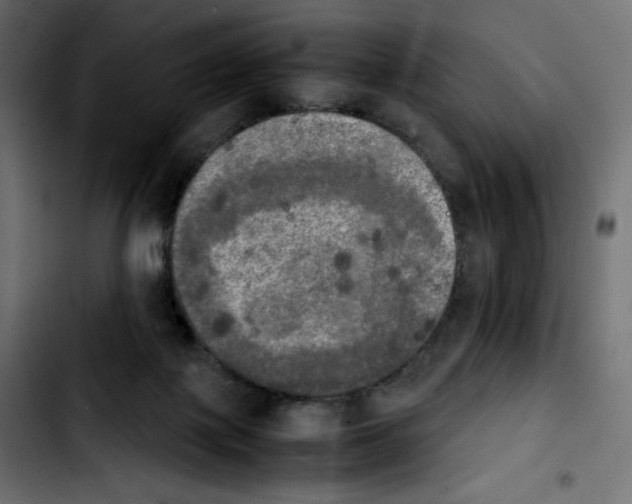 X0000103900075200810311419