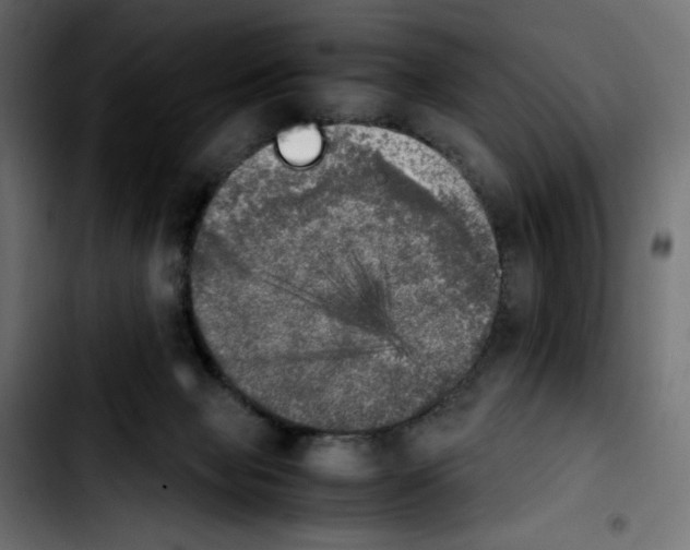 X0000103900077200810311419