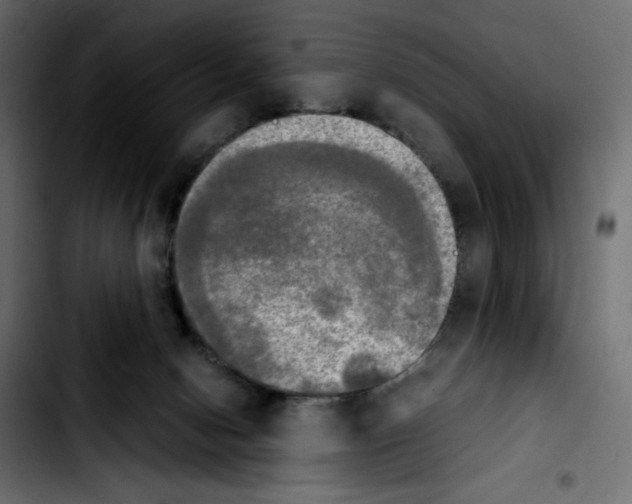 X0000103900078200810311419