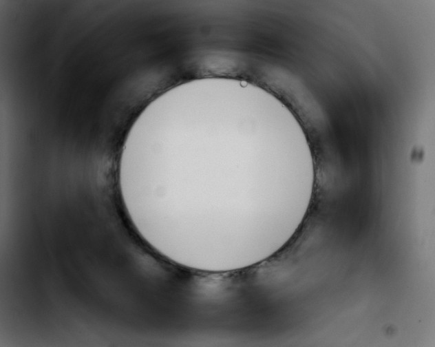 X0000103900079200810311419