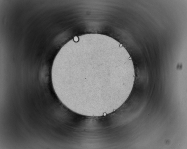 X0000103900080200810311419