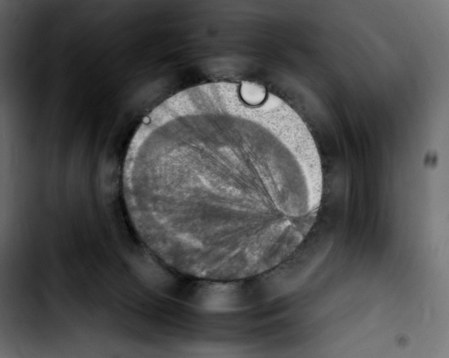 X0000103900081200810311419