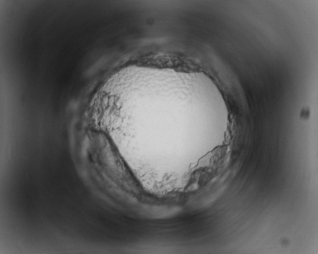 X0000103900083200810311419