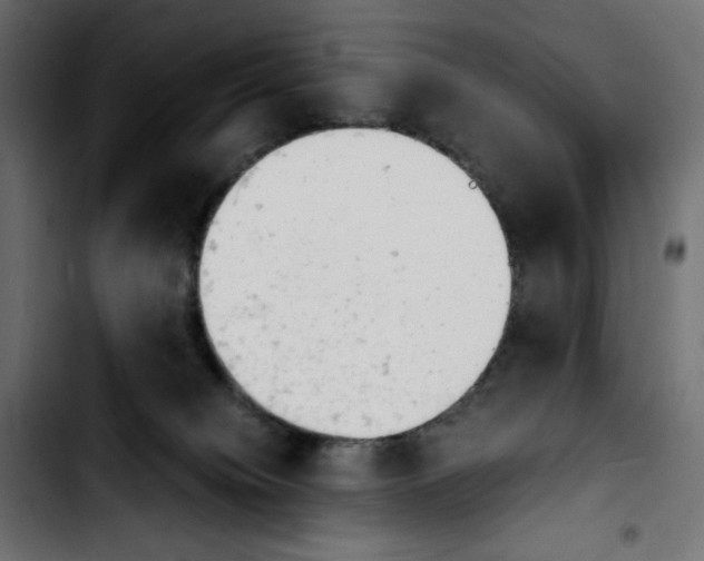 X0000103900084200810311419