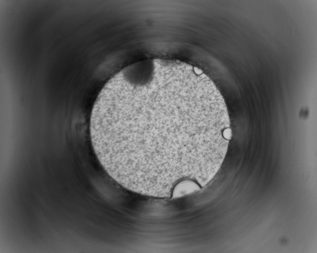 X0000103900086200810311419