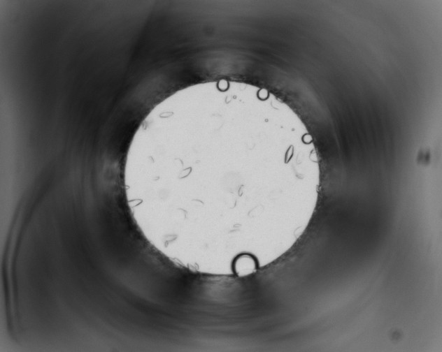 X0000103900087200810311419