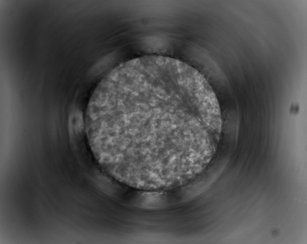 X0000103900089200810311419