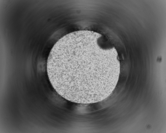 X0000103900090200810311419