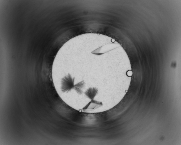 X0000103900091200810311419