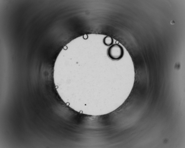 X0000103900092200810311419