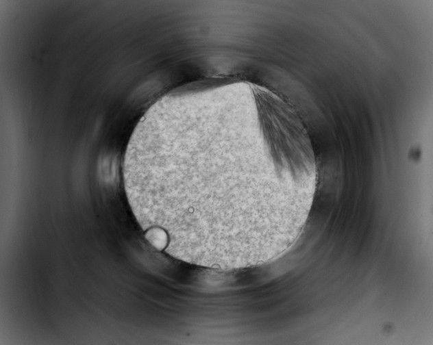 X0000103900094200810311419