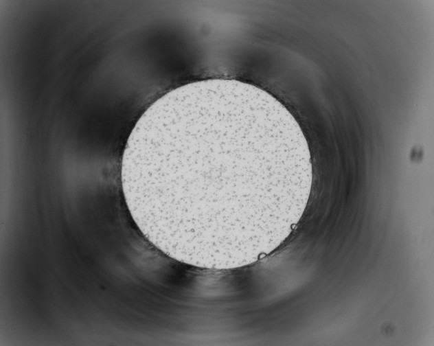 X0000103900096200810311419