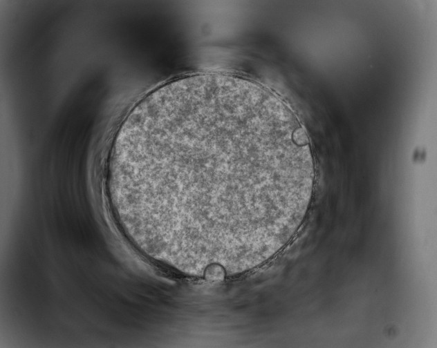 X0000103900097200810311419