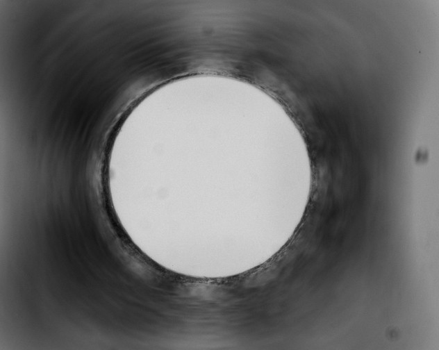 X0000103900098200810311419