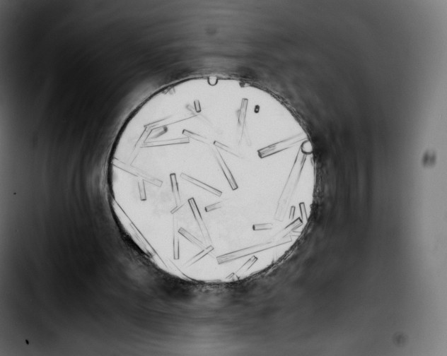 X0000103900099200810311418