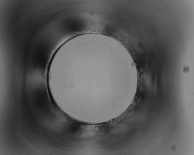 X0000103900100200810311418