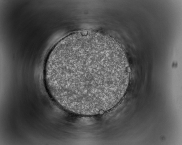 X0000103900101200810311418